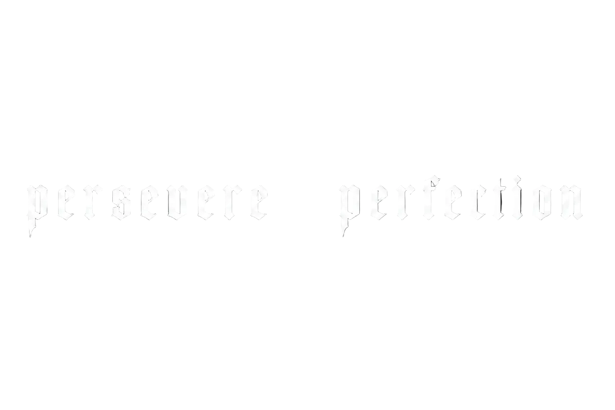 Persevere Perfection